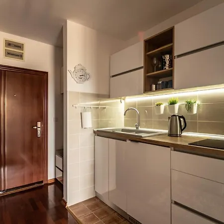 Modena Lux Apartmán Vrnjačka Banja